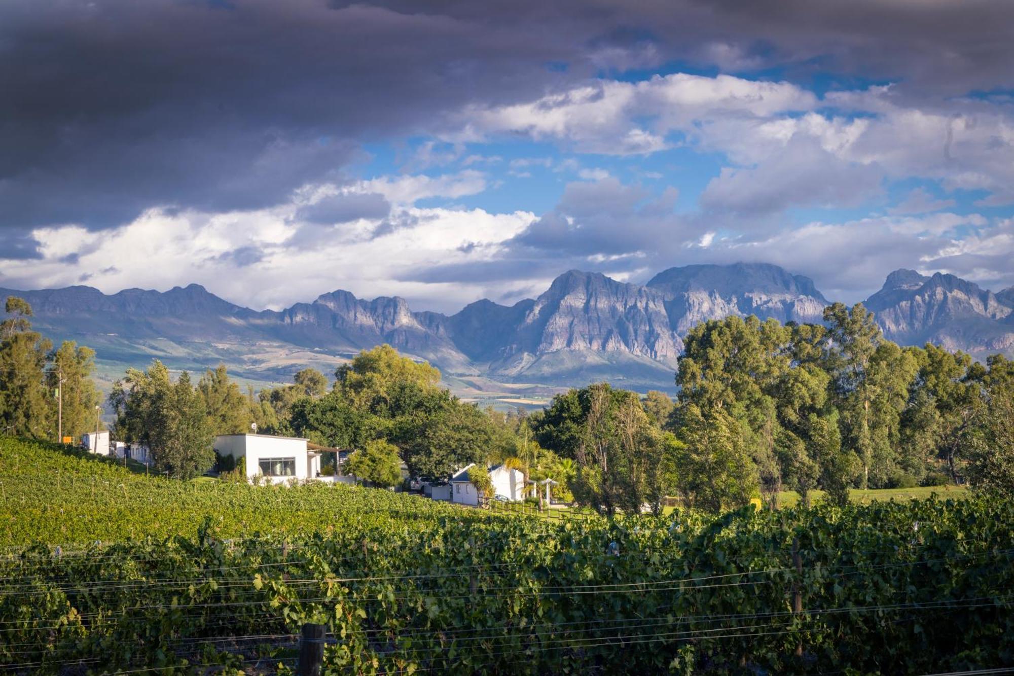 Hotel Tempel Wines Paarl Exterior foto