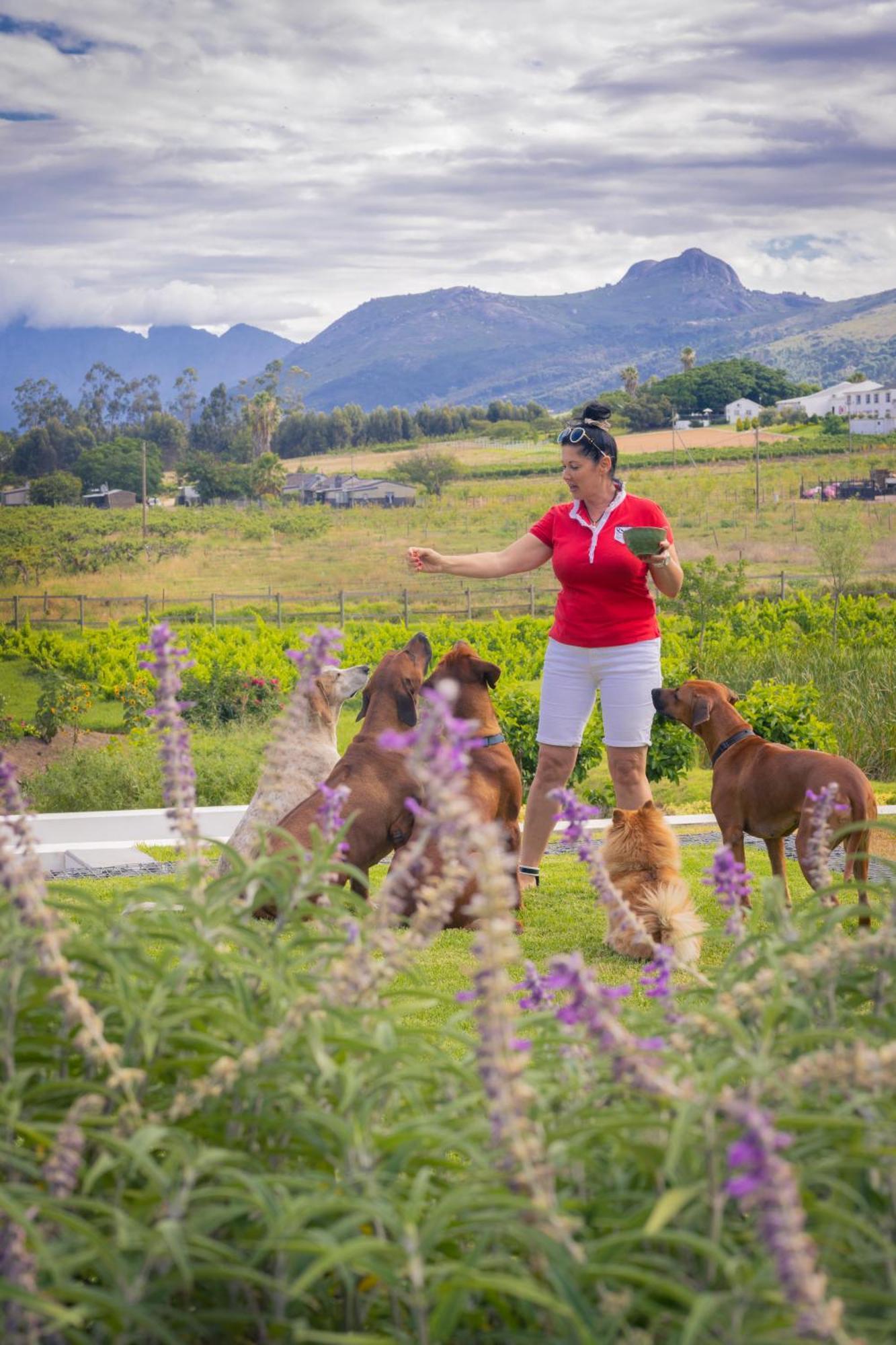 Hotel Tempel Wines Paarl Exterior foto